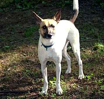 Photo of Swish