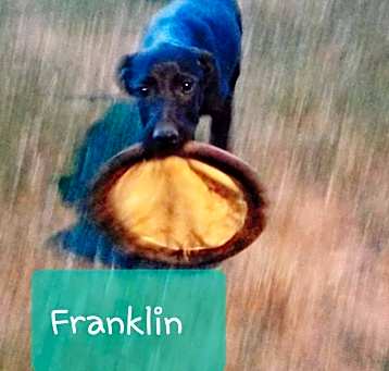 Photo of Franklin