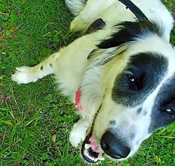 Photo of Lucy