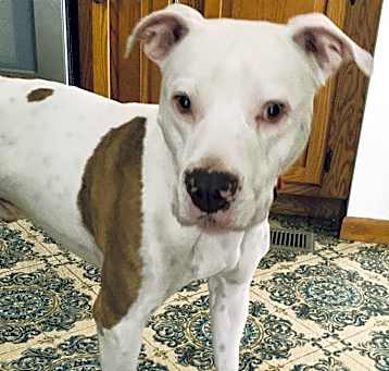 Photo of Casper