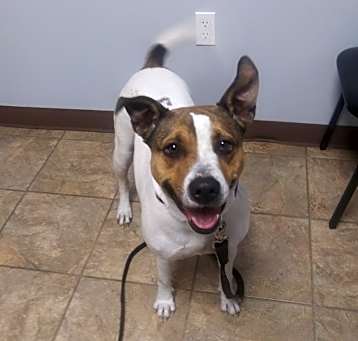 Photo of Nyla