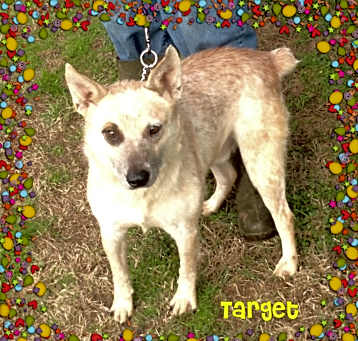 Photo of Target