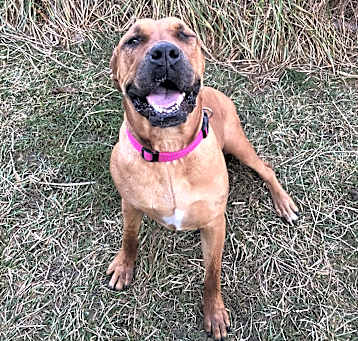 Photo of Lucy