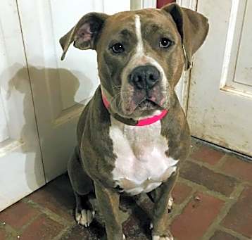Photo of Baby Girl