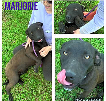 Photo of Marjorie