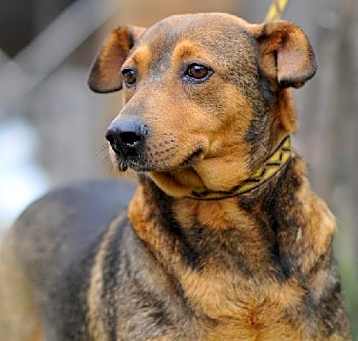 Photo of Cassie