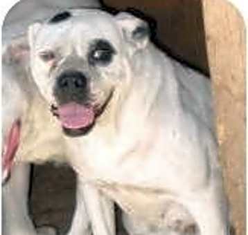 Photo of Blanca