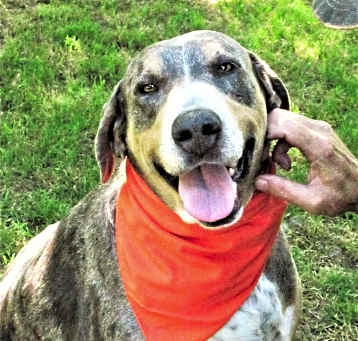 Photo of Duke
