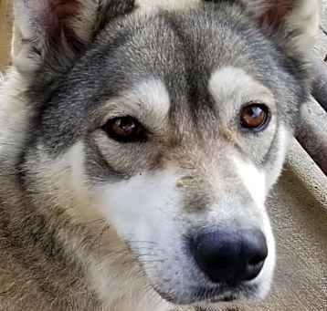 Photo of Nyah