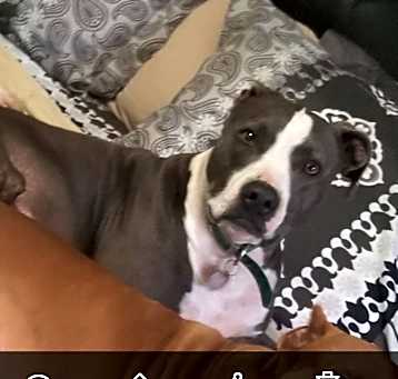 Photo of Zeus