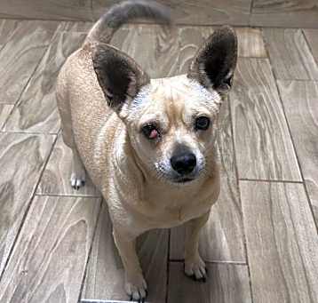 Photo of Popcorn