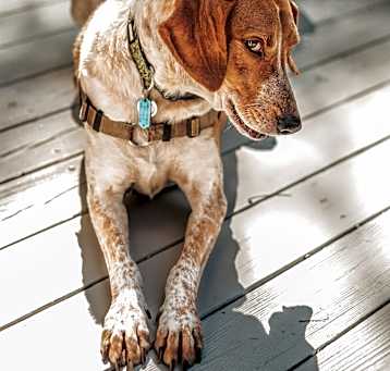 Photo of Luca