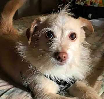 Photo of ACE