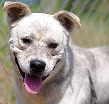 Photo of Tucker