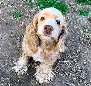 Photo of Roxy