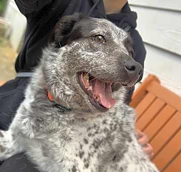 Photo of Sundae