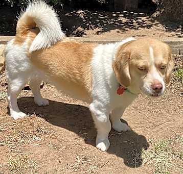 Photo of Simba W- sanctuary