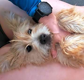 Photo of Kiwi