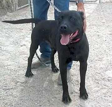 Photo of Bounty