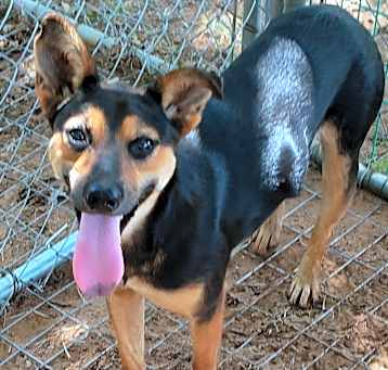 Photo of Wilma