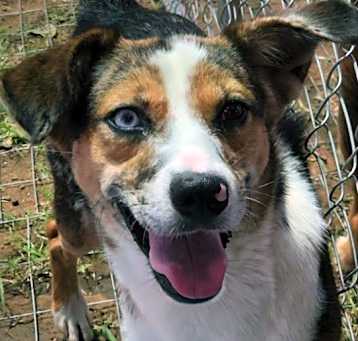 Photo of Lily