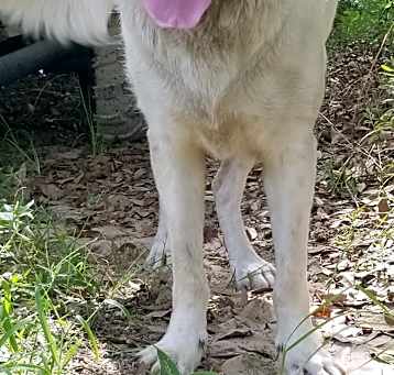 Photo of Roxy