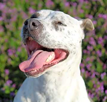 Photo of Cassy
