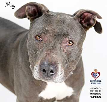 Photo of May