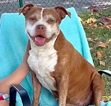 Photo of Cinnamon