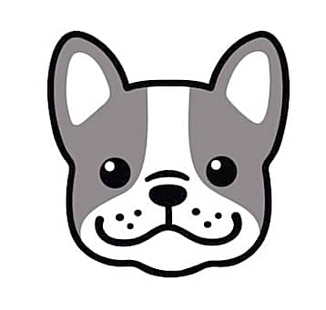 Photo of UNLISTED DOG