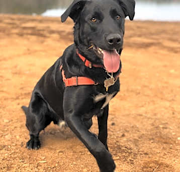 Photo of Jack