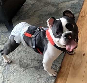 Photo of Sawyer