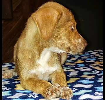 Photo of Max