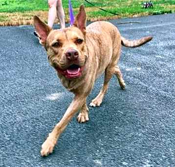 Photo of Coco