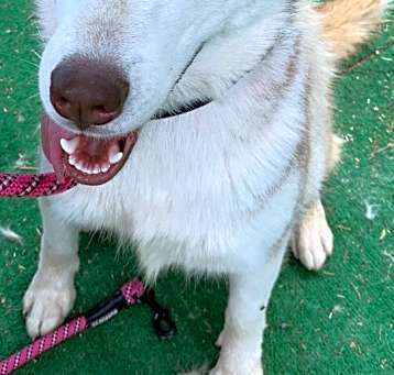 Photo of STAR
