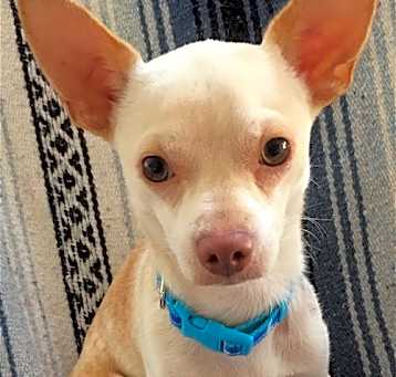Photo of Duke