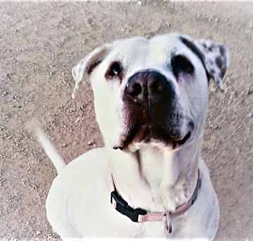 Photo of Abbie