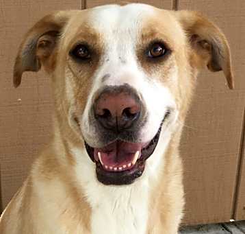 Photo of Jax