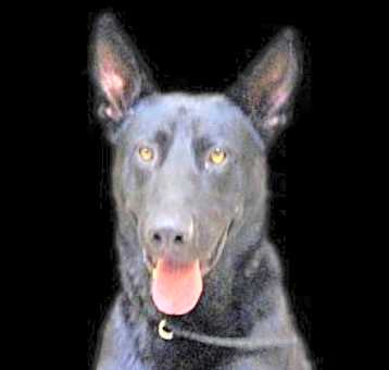 Photo of Reaper