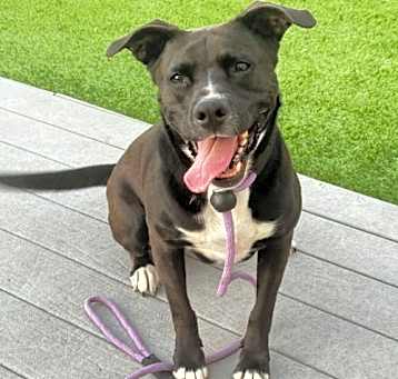 Photo of Ember