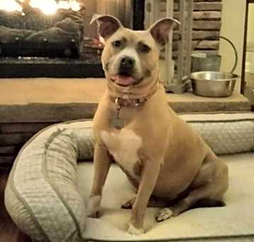 Photo of Bonnie