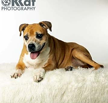 Photo of Daisy