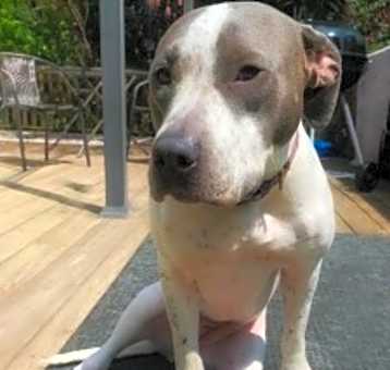 Photo of Mally