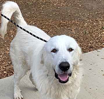 Photo of MARLEY