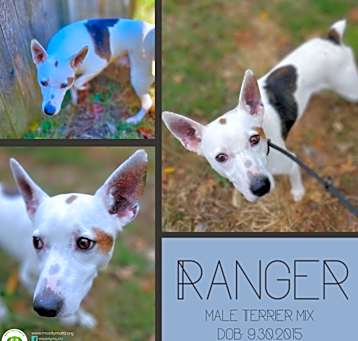 Photo of Ranger