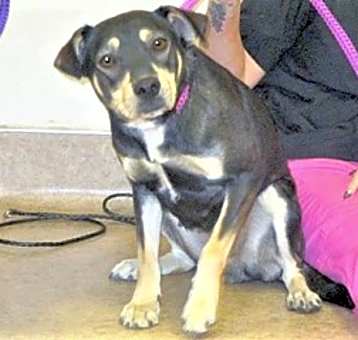 Photo of Lucy