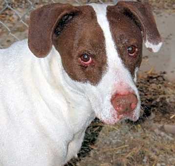 Photo of Oliver