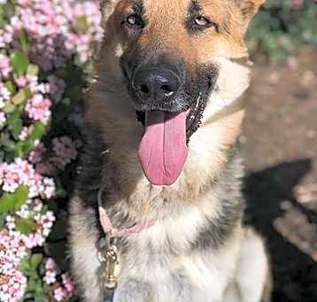 Photo of Ivan