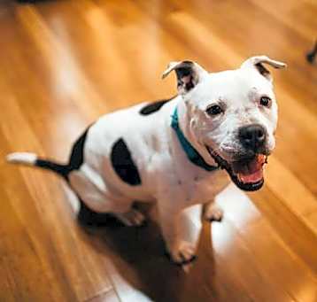 Photo of Margo