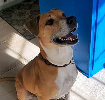 Photo of Astro